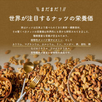 日本 自然の館 混合堅果 700g (有鹽/無鹽)