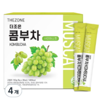 THEZONE 康普茶系列