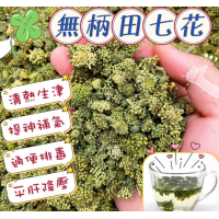 特級田七花（去柄）75g/包