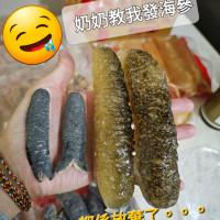 中東細禿海參 600g 