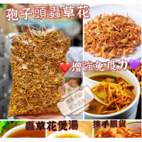 頂級特大孢子頭蟲草 300g/包