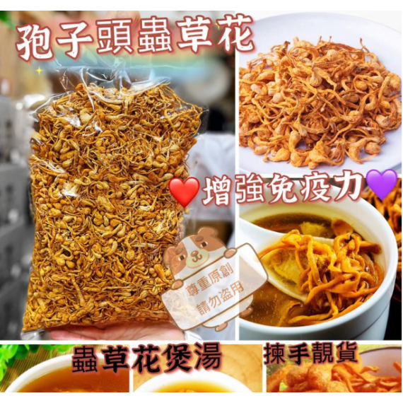 頂級特大孢子頭蟲草 300g/包