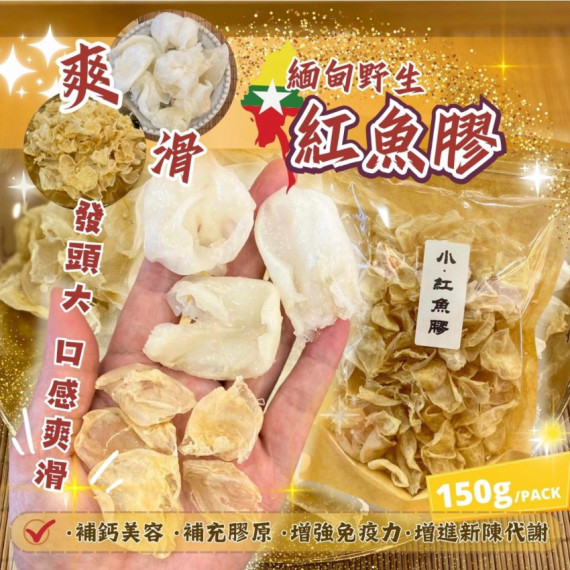 緬甸紅魚膠(小) 150克